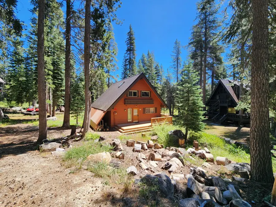 101 Orvis Road, Bear Valley, CA 95223 - #3