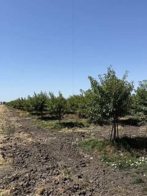 0 W Clarksburg Road, Clarksburg, CA 95612 - #3