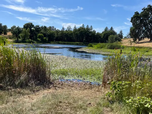 13555 Oakstream Road, Plymouth, CA 95669