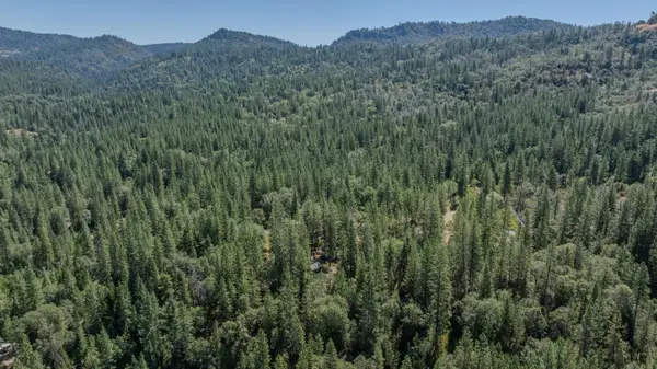 15736 Armstrong Road, Sheep Ranch, CA 95246