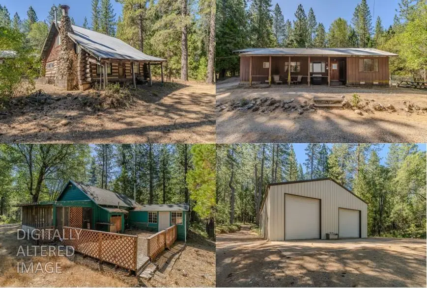 15736 Armstrong Road, Sheep Ranch, CA 95246 - #2