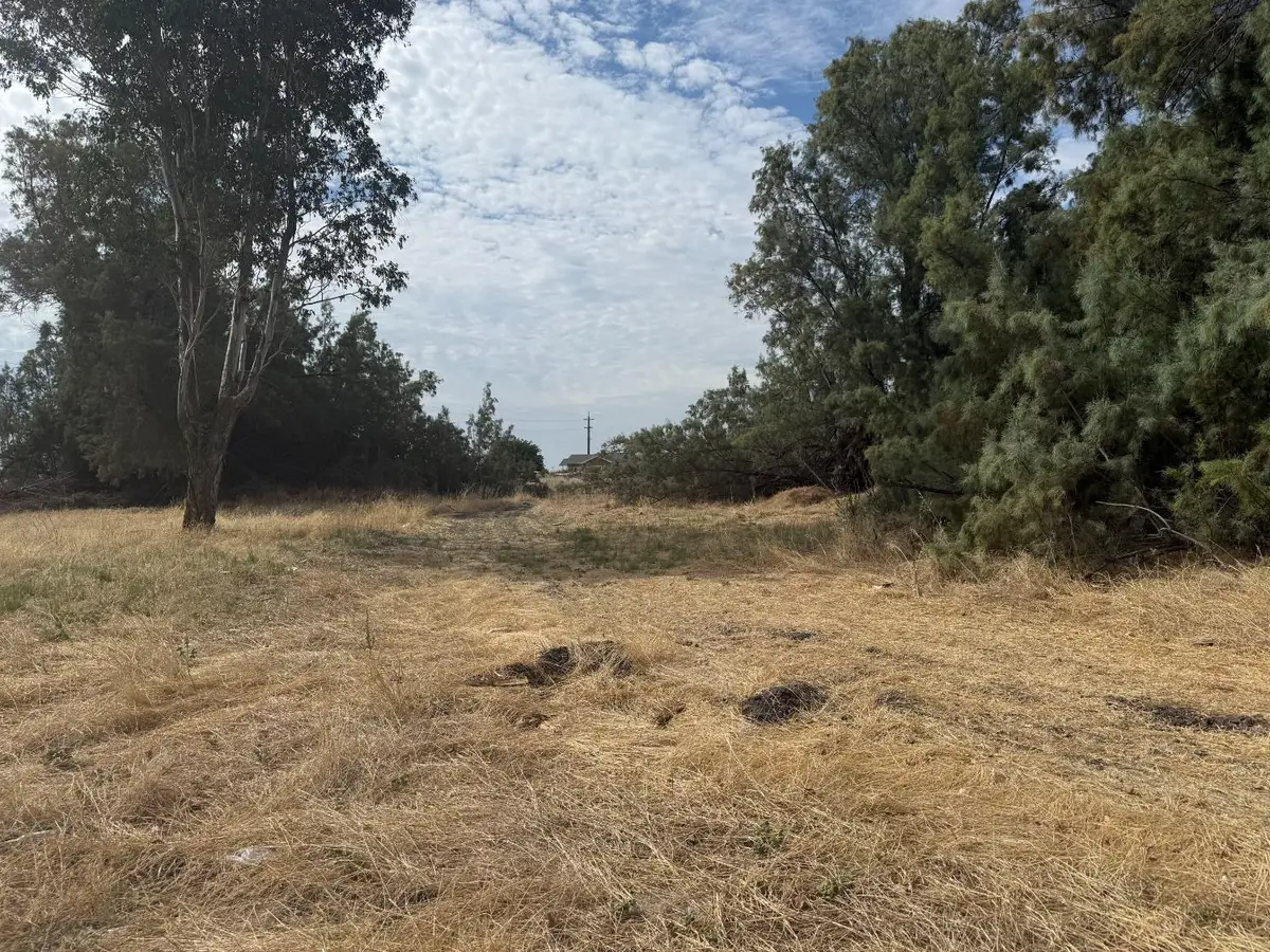 8021 W Christian Avenue, Dos Palos, CA 93620 - #1
