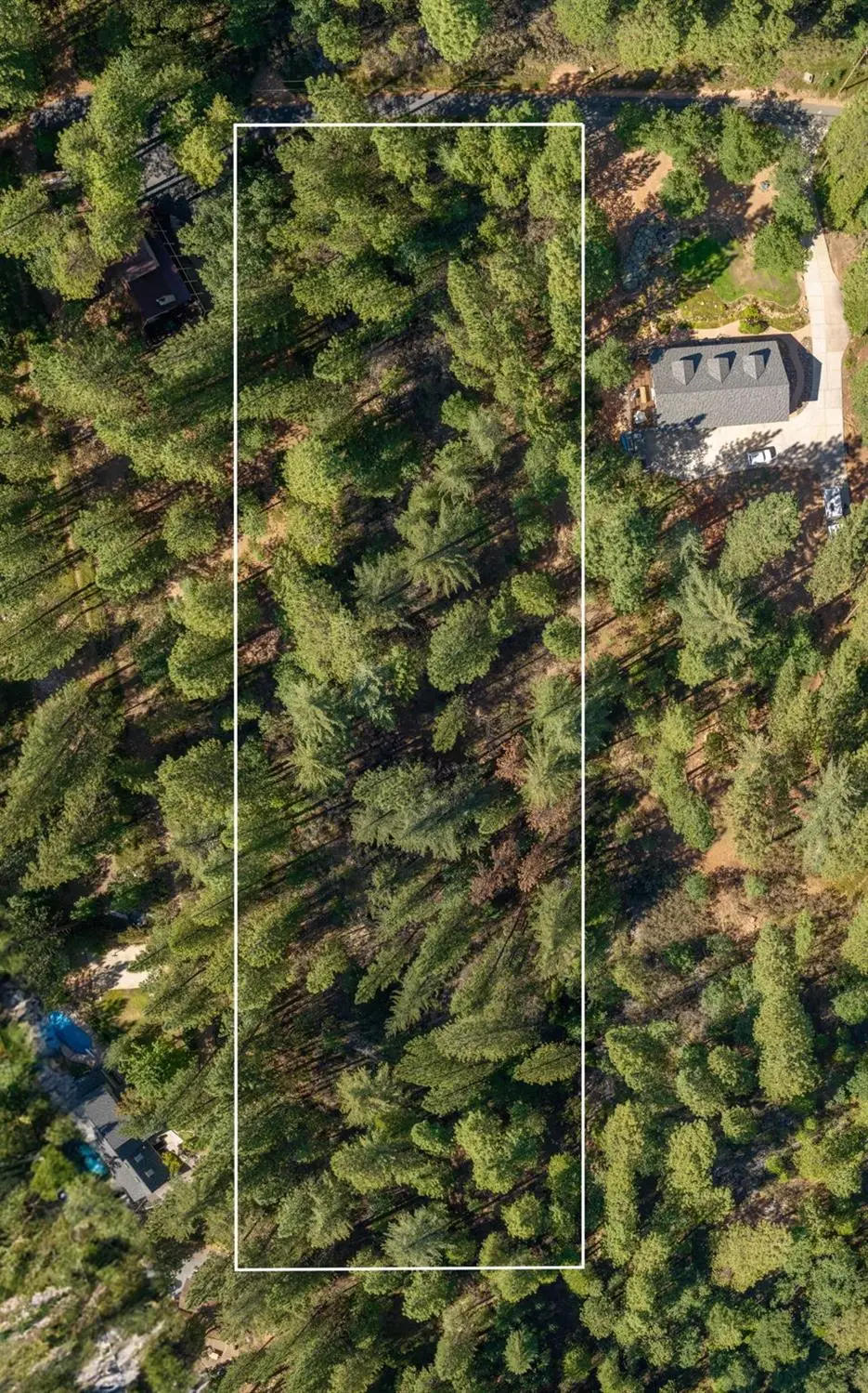 3003 Black Bear Drive, Arnold, CA 95223 - #1
