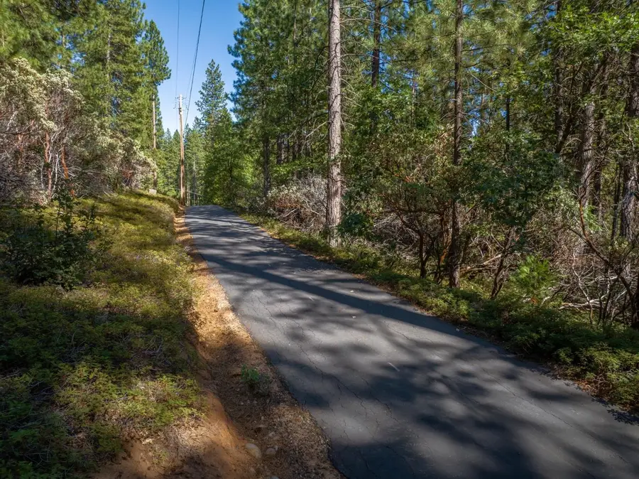 3003 Black Bear Drive, Arnold, CA 95223 - #2