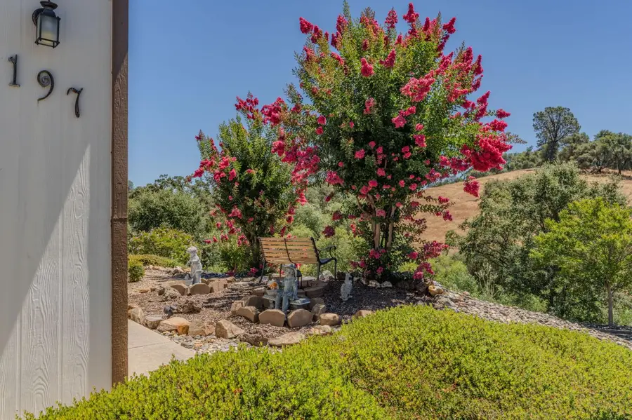20 Rollingwood Drive #197, Jackson, CA 95642 - #3
