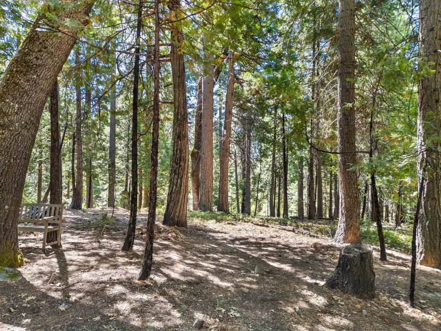 1544 Topanga Lane, Dorrington, CA 95223 - #3