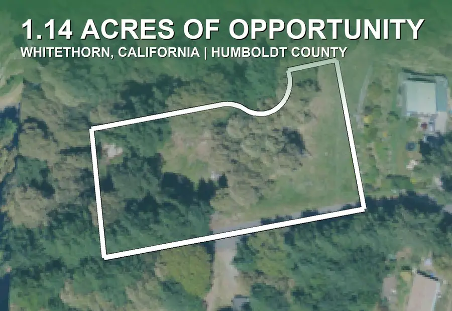 81 Cougar Road, Whitethorn, CA 95589 - #3