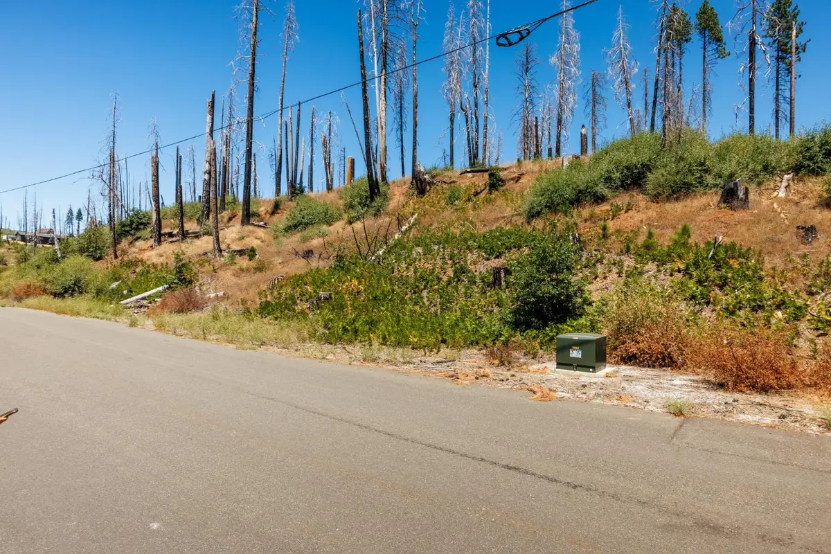 7191 Winding Way, Grizzly Flats, CA 95636 - #1