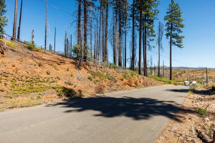 7191 Winding Way, Grizzly Flats, CA 95636 - #2