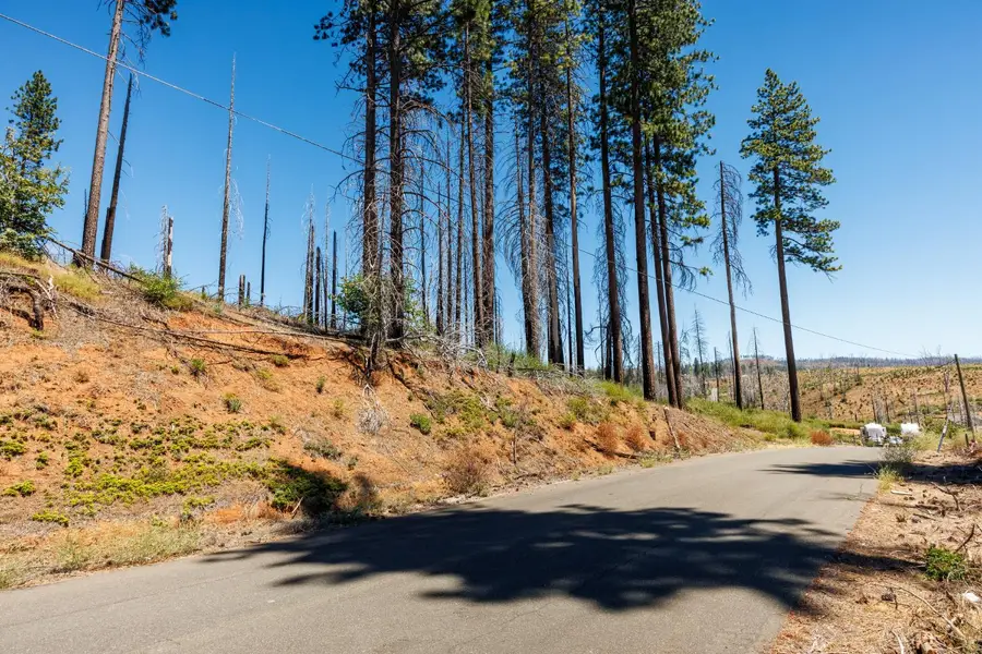 7191 Winding Way, Grizzly Flats, CA 95636 - #3