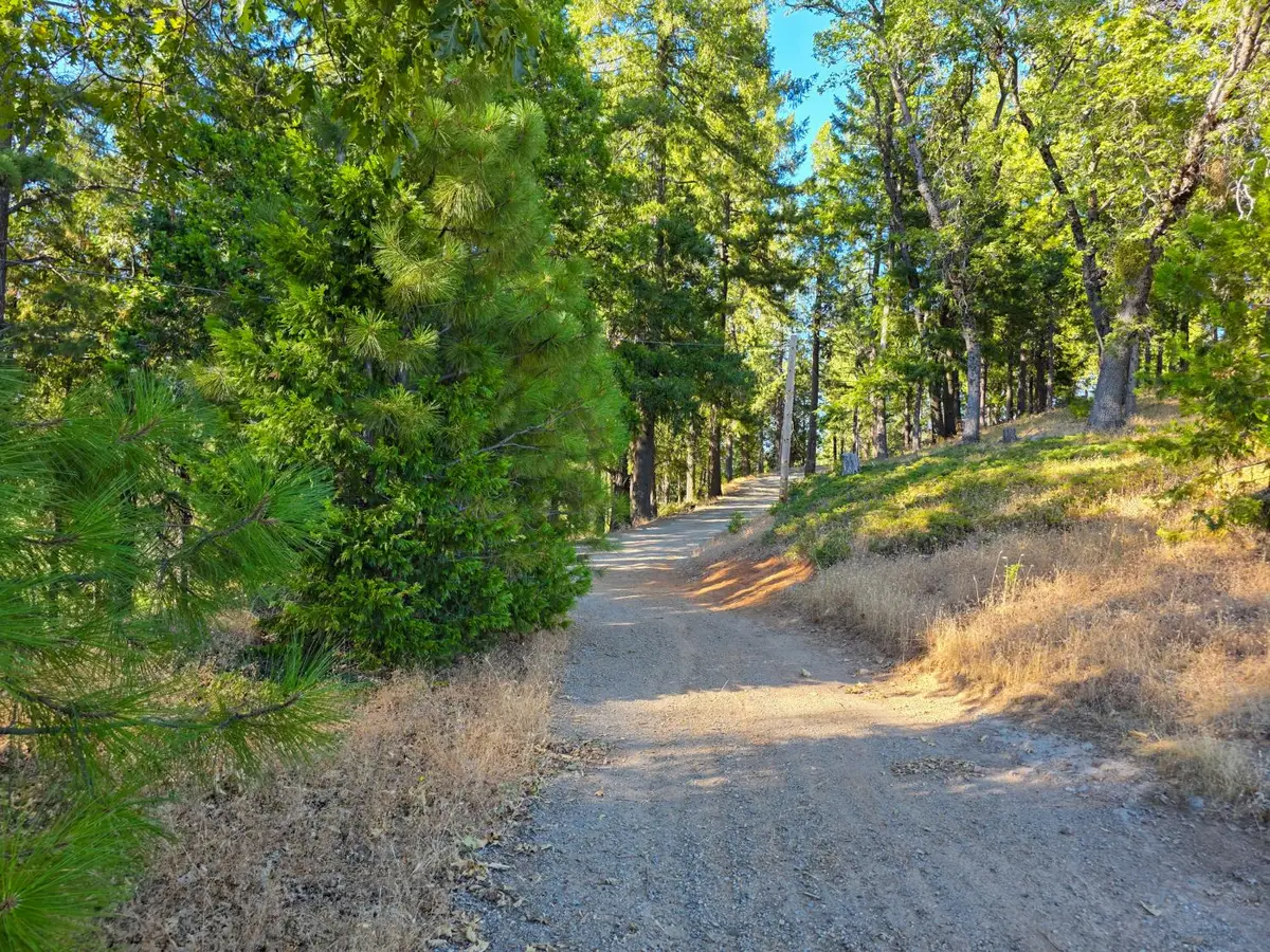 5520 Lynx Trail, Pollock Pines, CA 95726 - #1