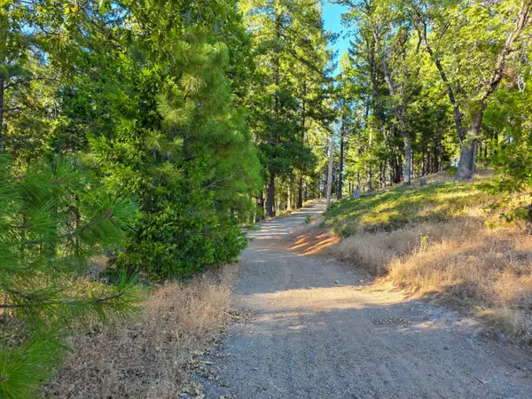 5520 Lynx Trail, Pollock Pines, CA 95726