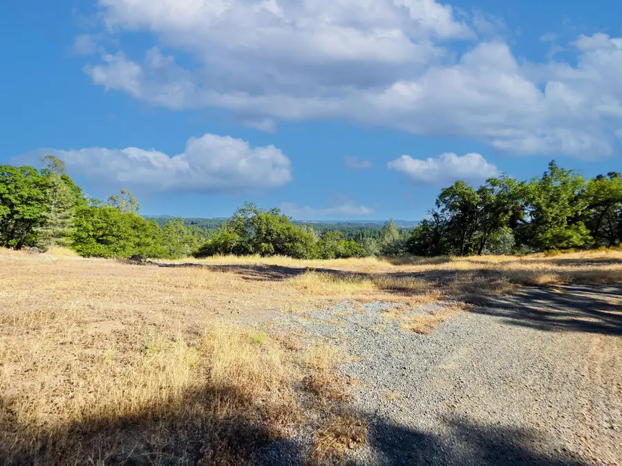 5520 Lynx Trail, Pollock Pines, CA 95726 - #3