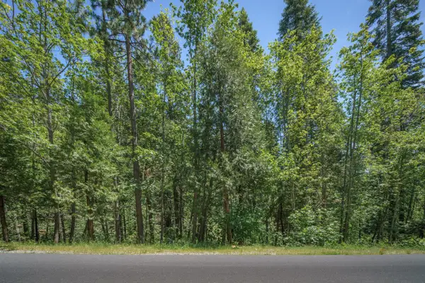 1172 Spring Valley Way, Arnold, CA 95223