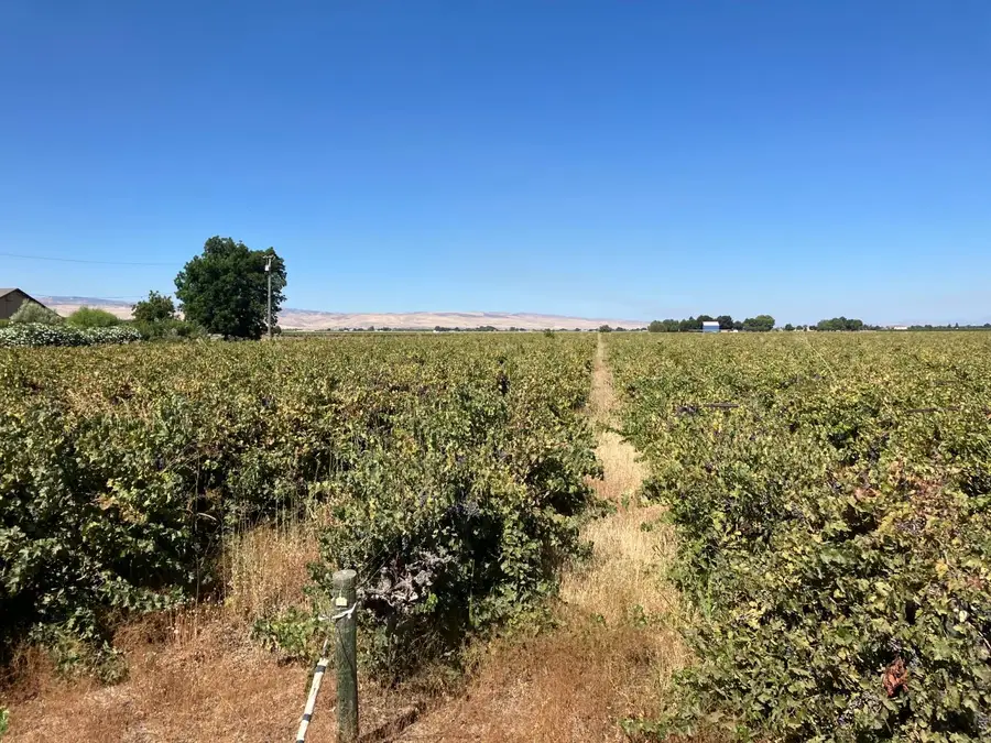 0 Lehman Road, Tracy, CA 95376 - #2