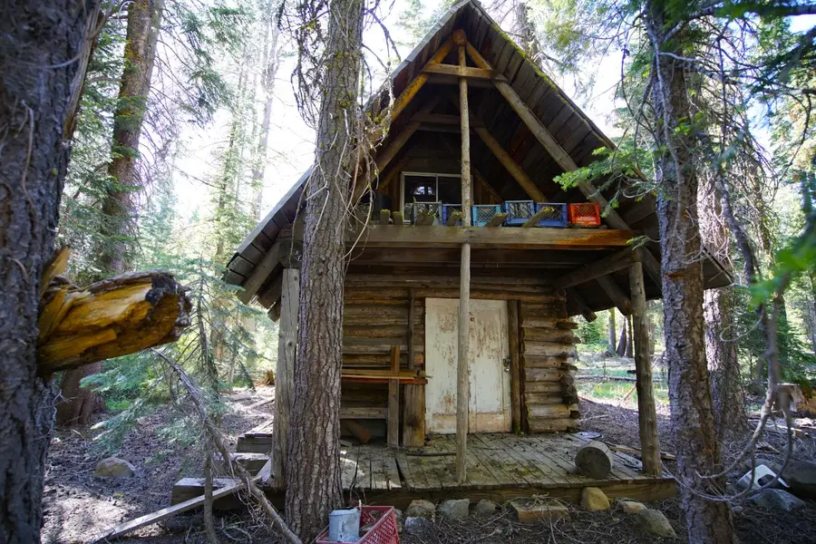 0 Forest 41 Road, Soda Springs, CA 95728 - #3