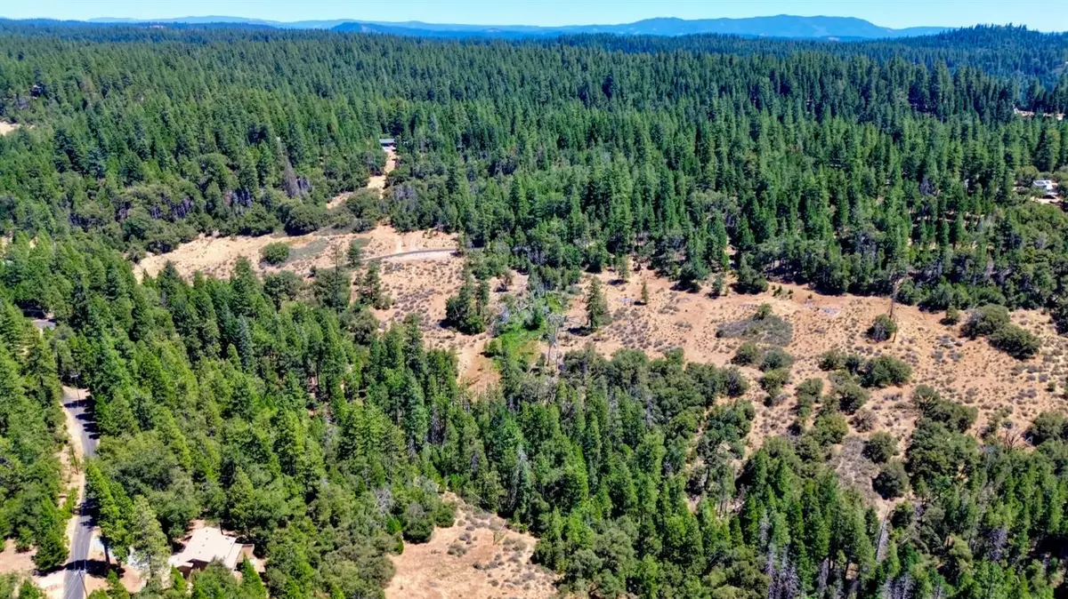19421 Ponderosa Drive, Pioneer, CA 95666 - #1