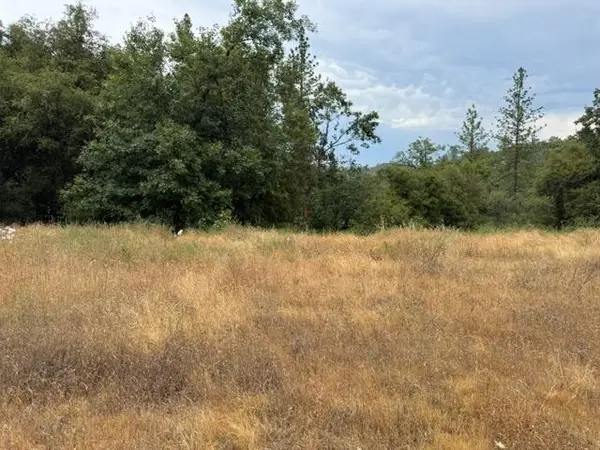 6019 Pappalardo Prominade, Murphys, CA 95247
