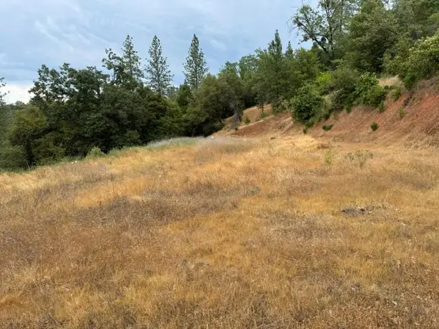 6019 Pappalardo Prominade, Murphys, CA 95247 - #2
