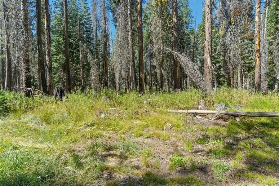 20414 Us Highway 50, South Lake Tahoe, CA 96155 - #2