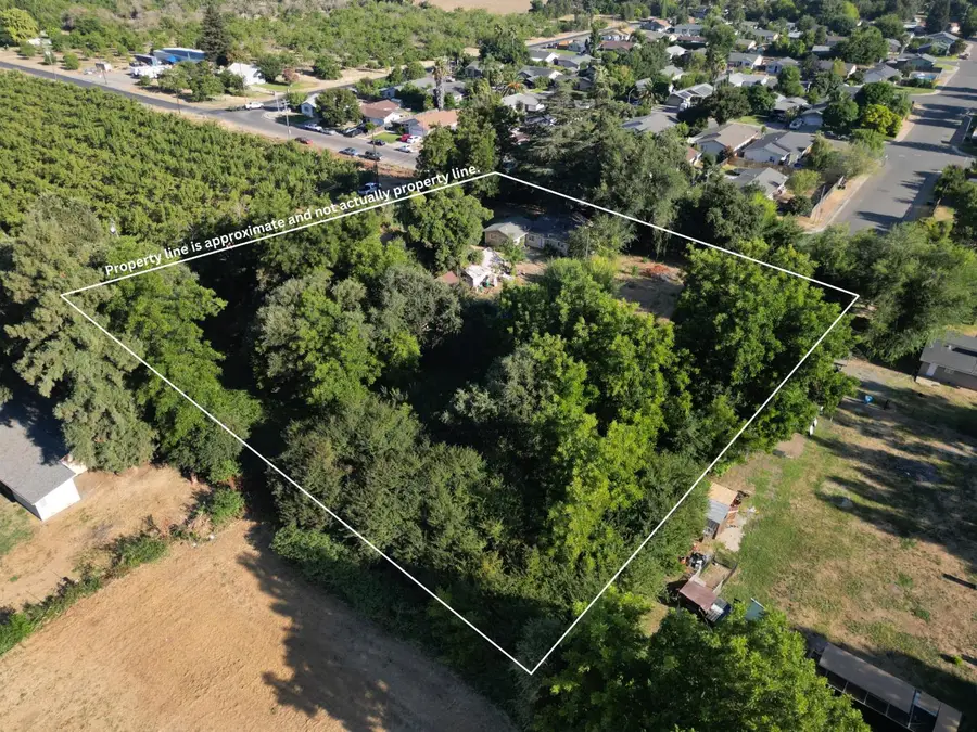 441 Little Avenue, Gridley, CA 95948 - #2