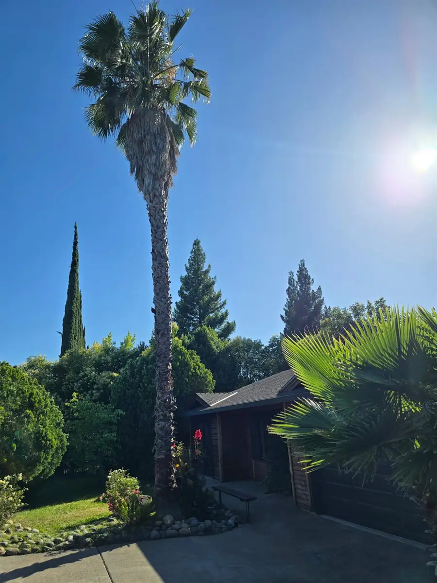 6341 Tupelo Dr., Citrus Heights, CA 95621 - #2