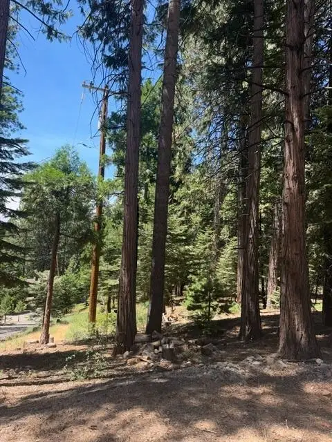 1783 Seminole, Arnold, CA 95223
