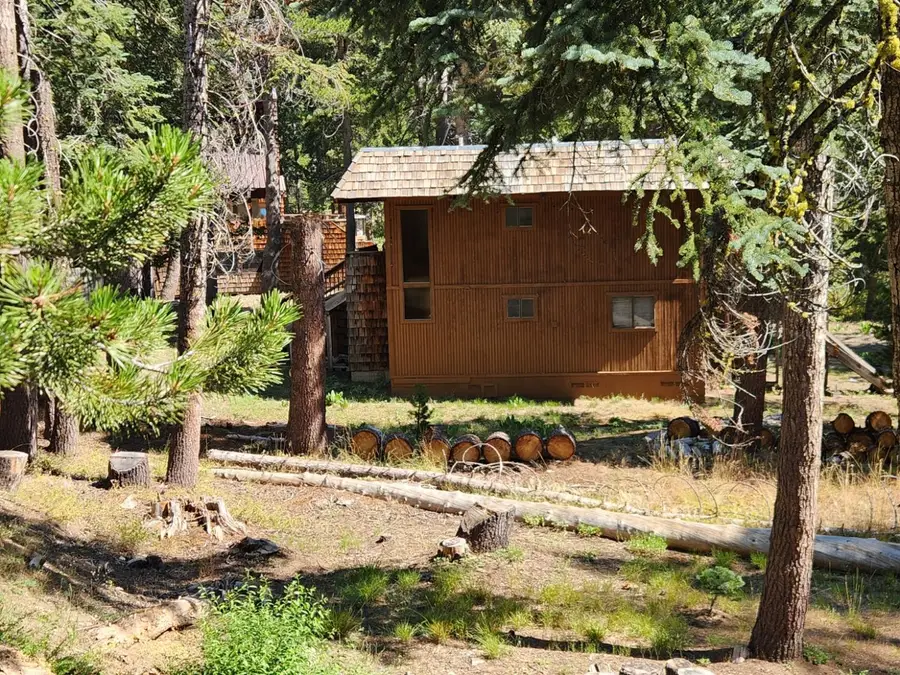 171 Schimke Road, Bear Valley, CA 95223 - #3
