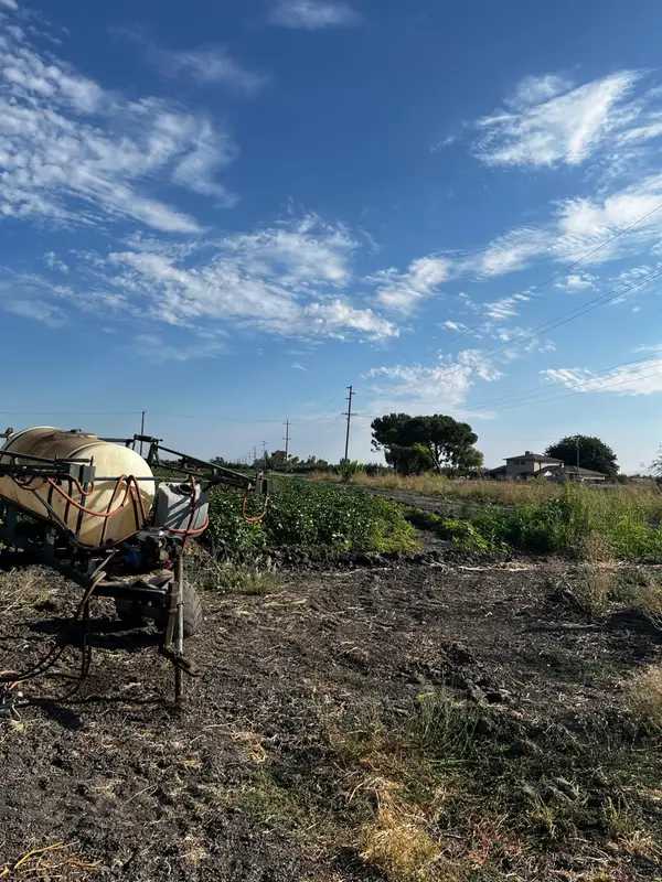 0 Elgien, Dos Palos, CA 93620