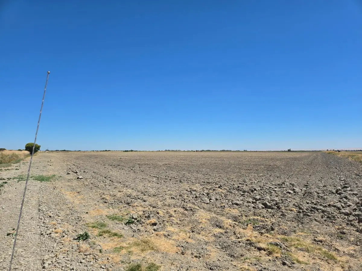 10746 S Mercey Springs Rd, Los Banos, CA 93635 - #1