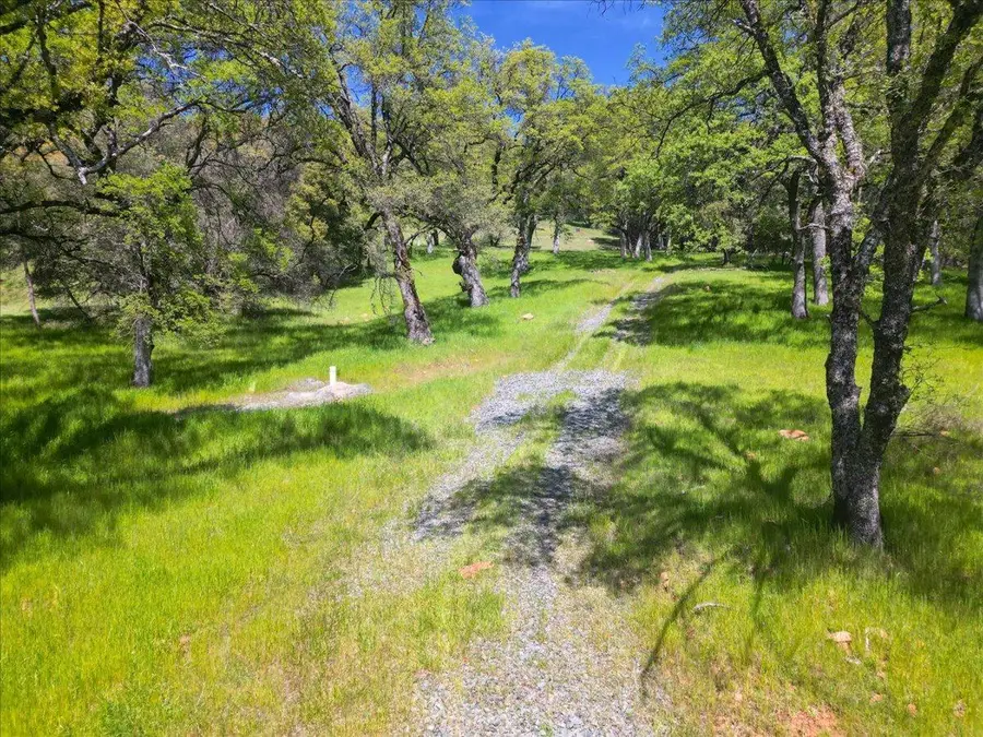 12584 Kodiak Lane, Grass Valley, CA 95949 - #2