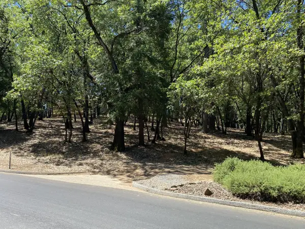 33 Nugget Drive, Foresthill, CA 95631