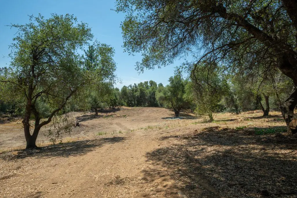 3326 Sand Ridge Road, Placerville, CA 95667 - #1