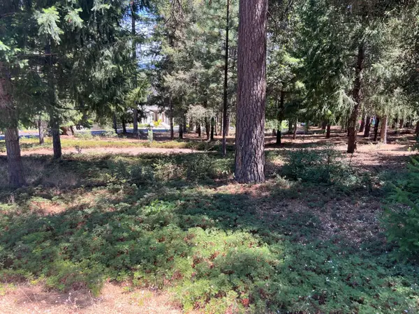 4400 Santa Croce Court, Foresthill, CA 95631