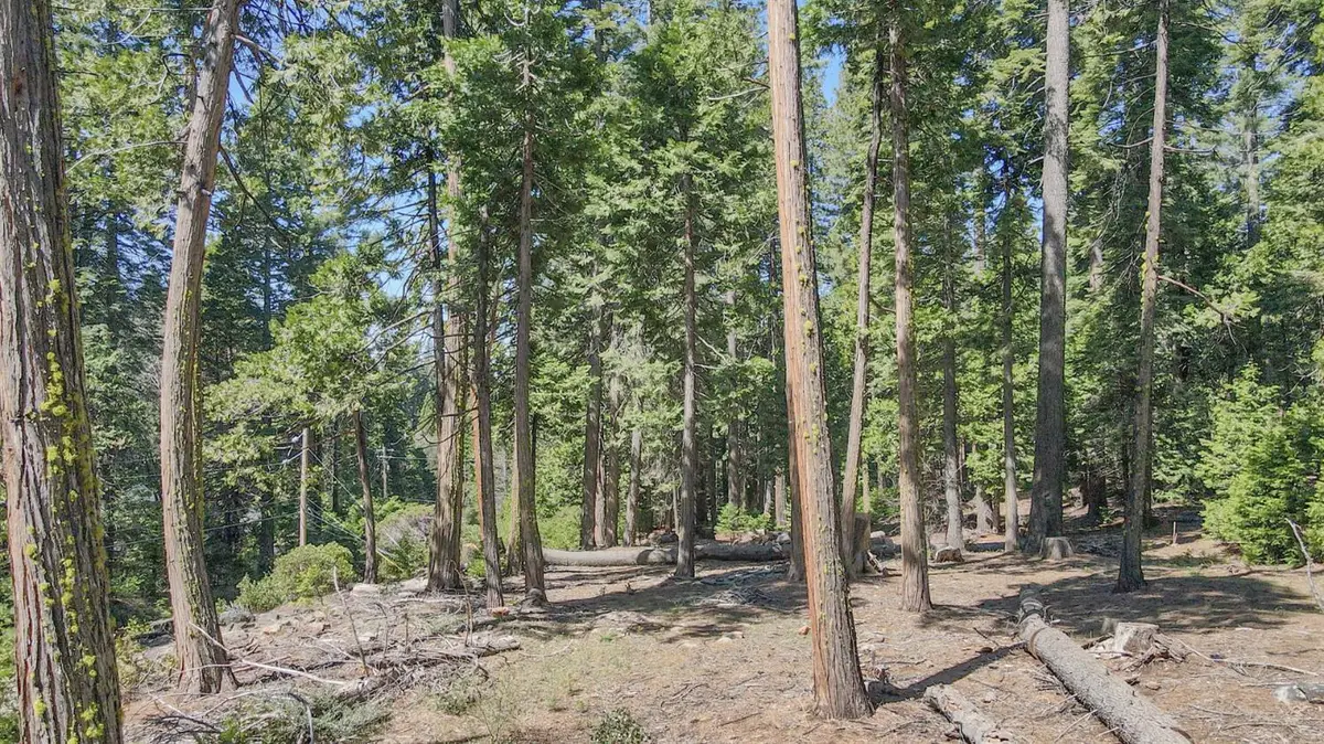 403 Sierra Parkway, Camp Connell, CA 95223 - #1