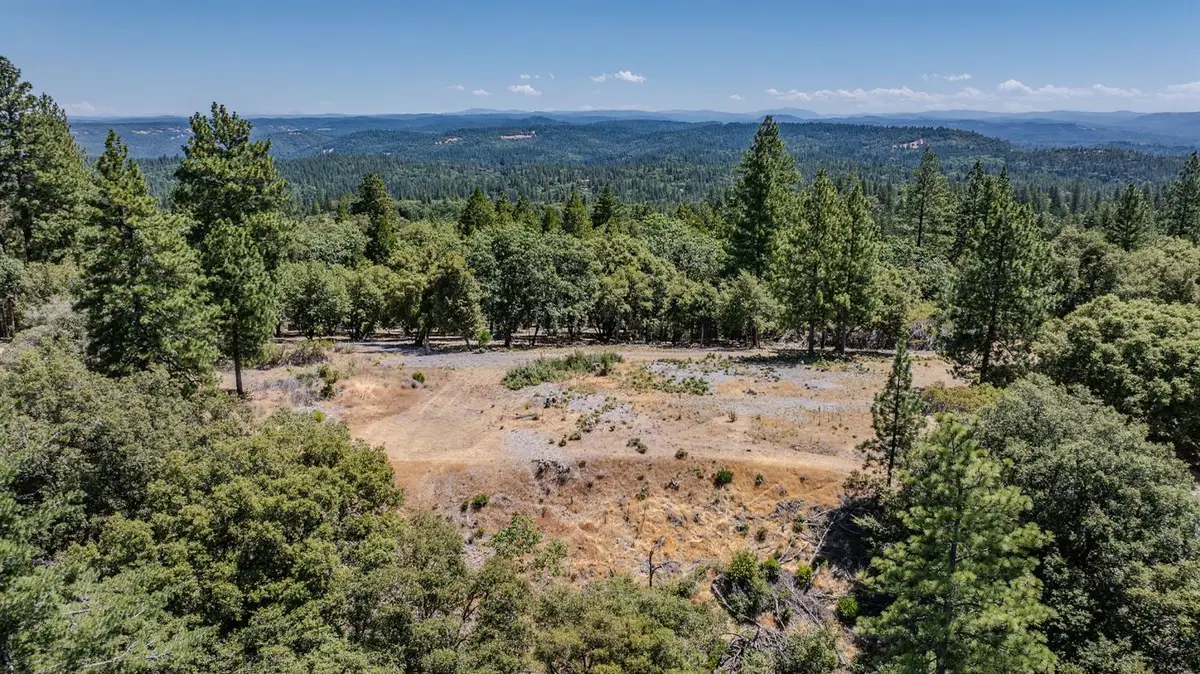 20117 Neilson Road, Pine Grove, CA 95665 - #1