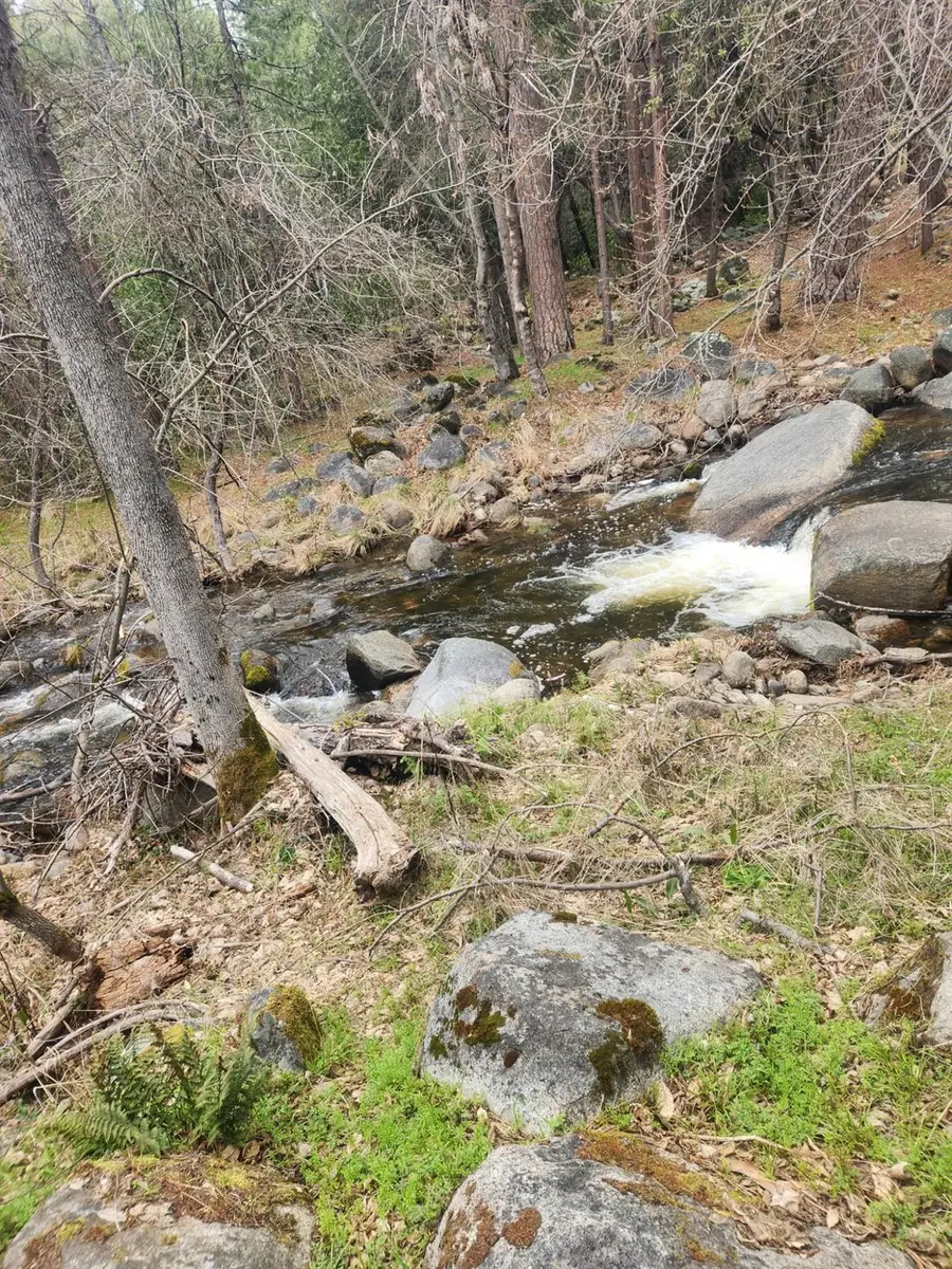 2406 Anglers Court, Mariposa, CA 95338 - #3