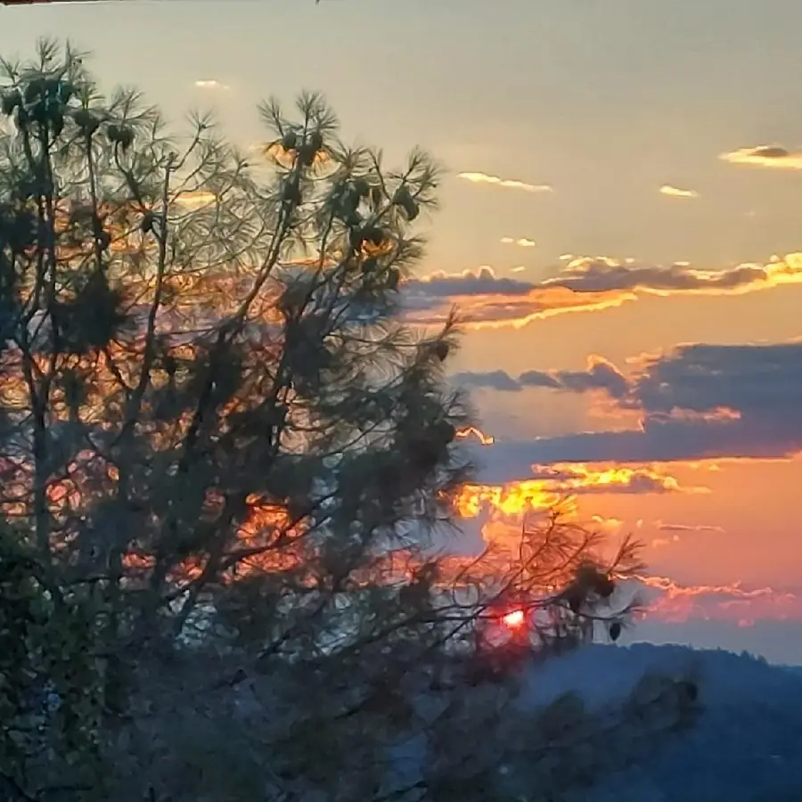11011 Chances R Road, Penn Valley, CA 95946 - #2