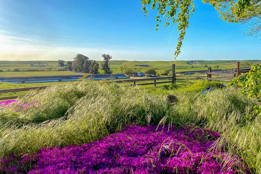 17164 Keyes Road, Snelling, CA 95369 - #3