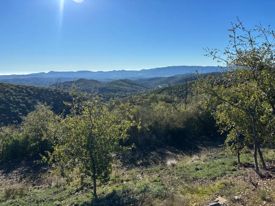 6650 Starlight Lane, Mountain Ranch, CA 95246 - #3