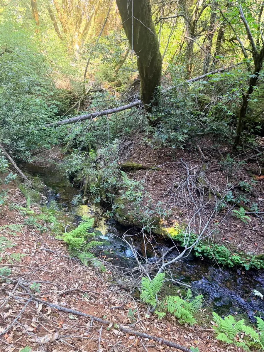 18048 Zamora Trail, Camptonville, CA 95922 - #2