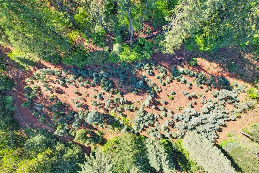 4940 Star Lane, Georgetown, CA 95634 - #2