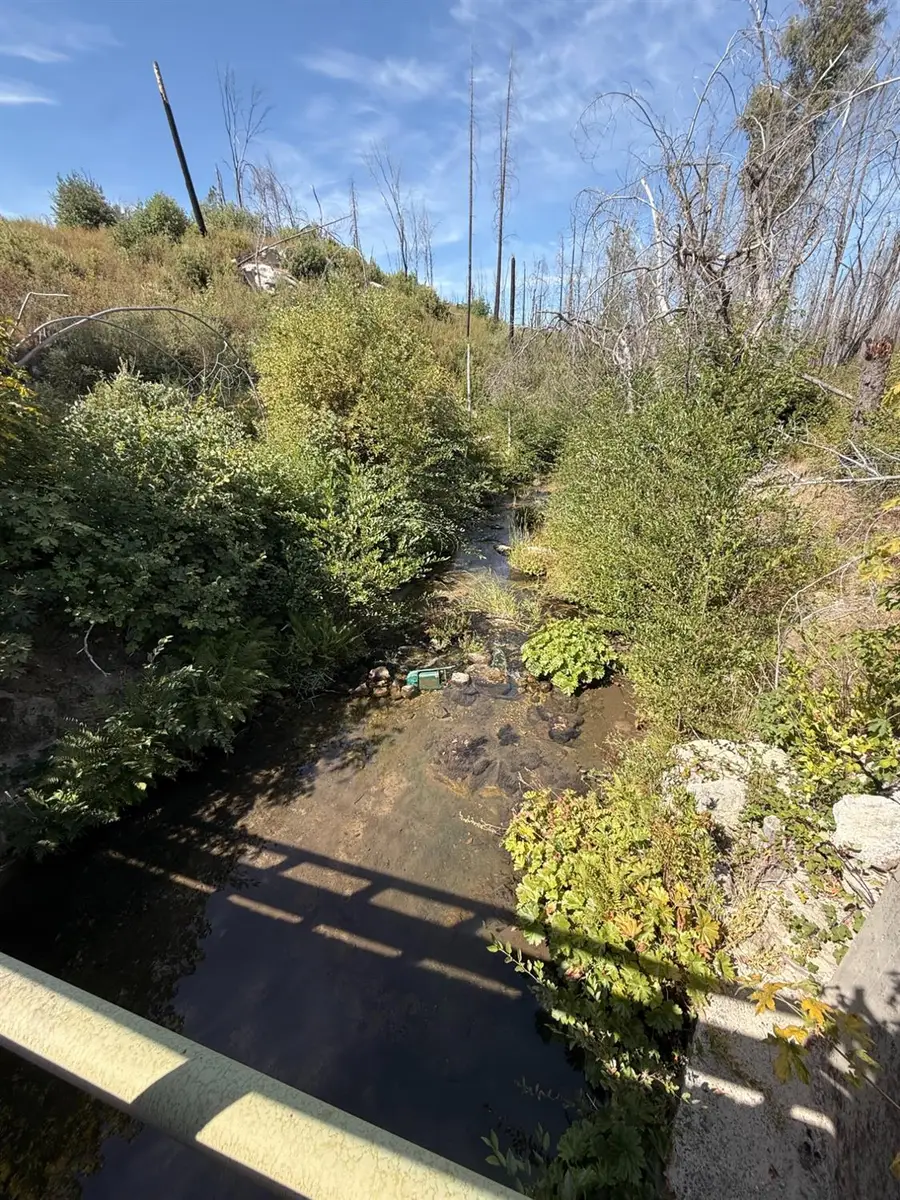 0 Oak Drive, Berry Creek, CA 95916 - #2