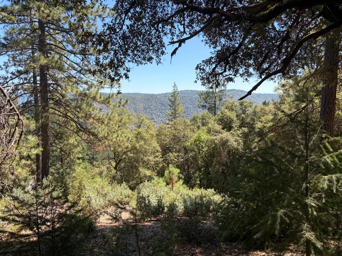 24800 N Canyon Way, Colfax, CA 95713 - #1