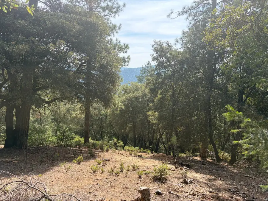 24800 N Canyon Way, Colfax, CA 95713 - #2