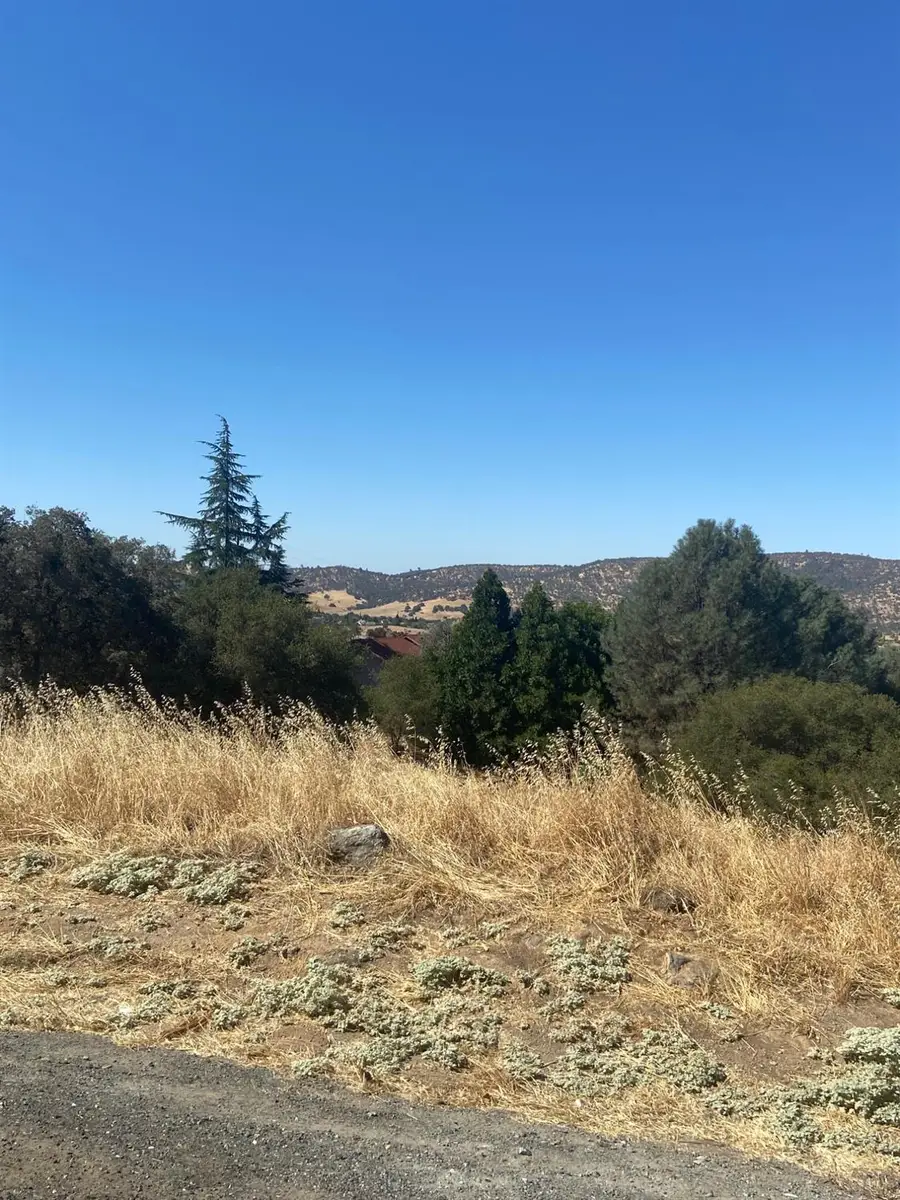 2335 Arrowhead Street, Copperopolis, CA 95228 - #3