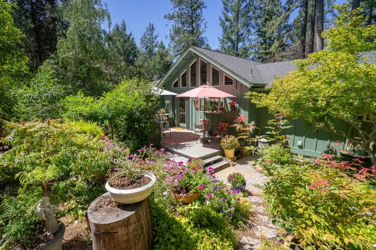26035 Meadow Drive, Pioneer, CA 95666 - #1