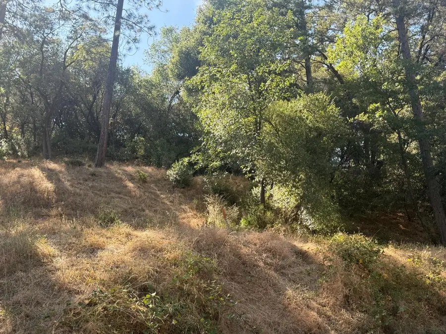 2750 Bedford Avenue, Placerville, CA 95667 - #3