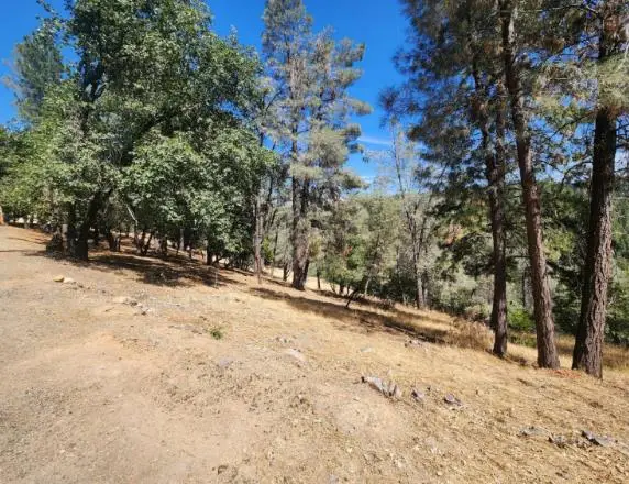 5331 Five Spot Road, Pollock Pines, CA 95726 - #2