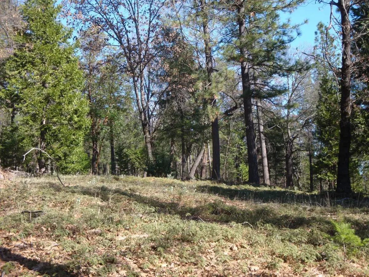 0 Foresthill, Foresthill, CA 95631 - #1